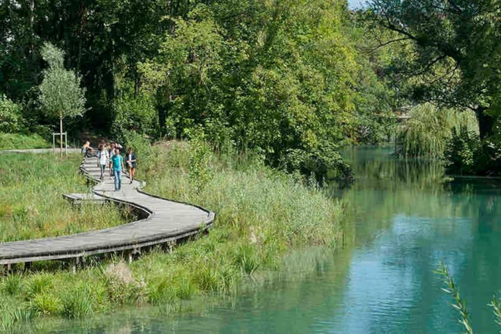 La Perle Du Thiou - Charmant T3 Au Centre D'Annecy Avec Parking Prive Exteriör bild